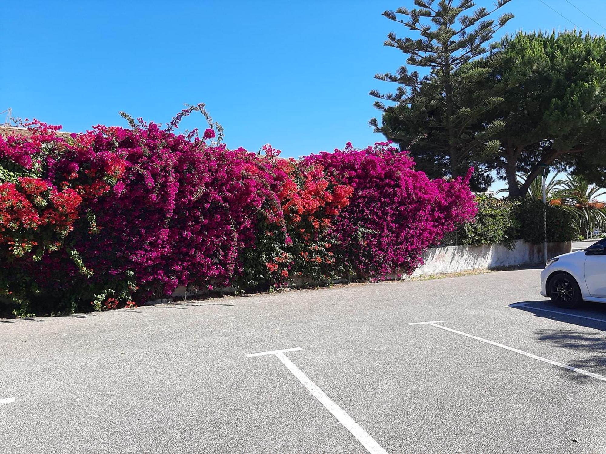 Lucie Lime Guesthouse Praia Da Luz Exterior photo